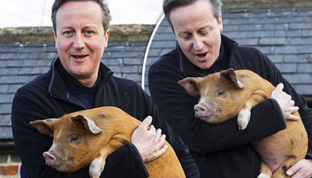 David-Cameron-606695